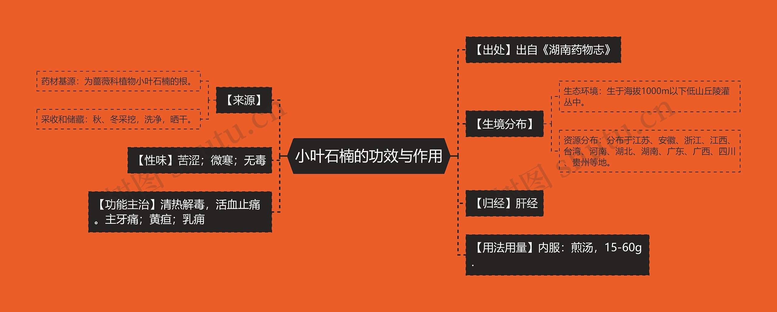 小叶石楠的功效与作用 小叶石楠的功效与作用
