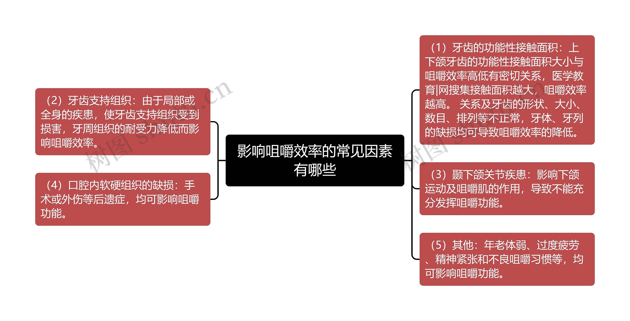 影响咀嚼效率的常见因素有哪些