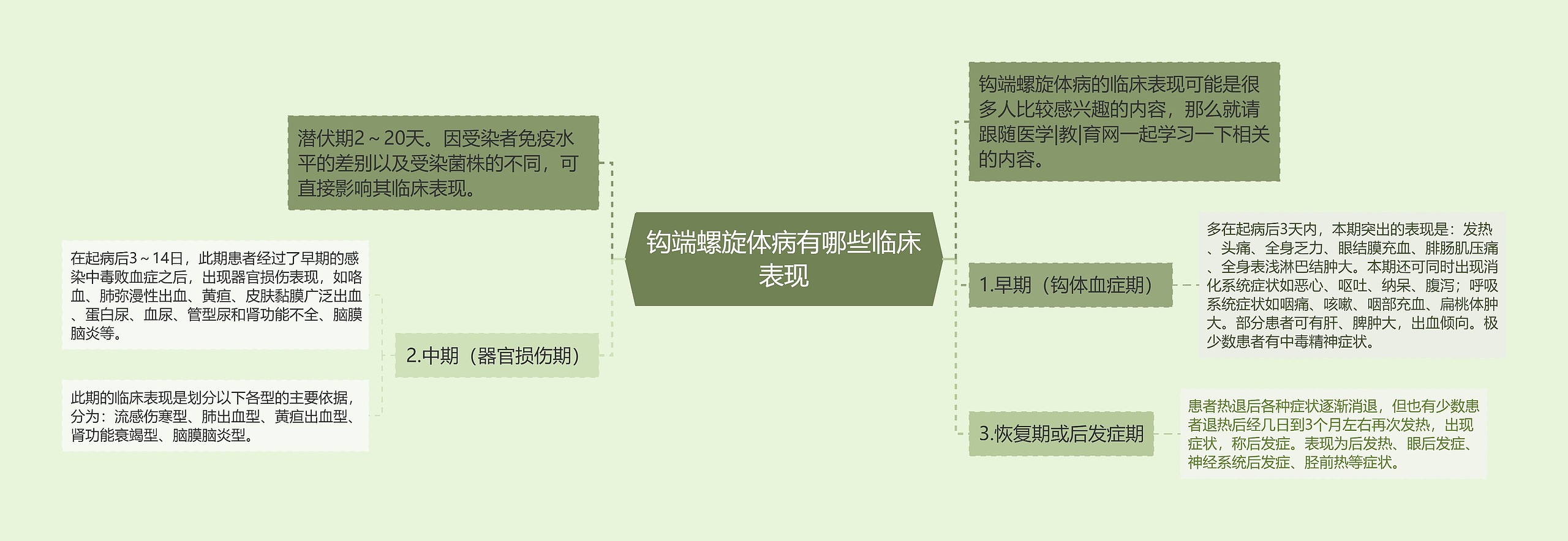 钩端螺旋体病有哪些临床表现思维导图