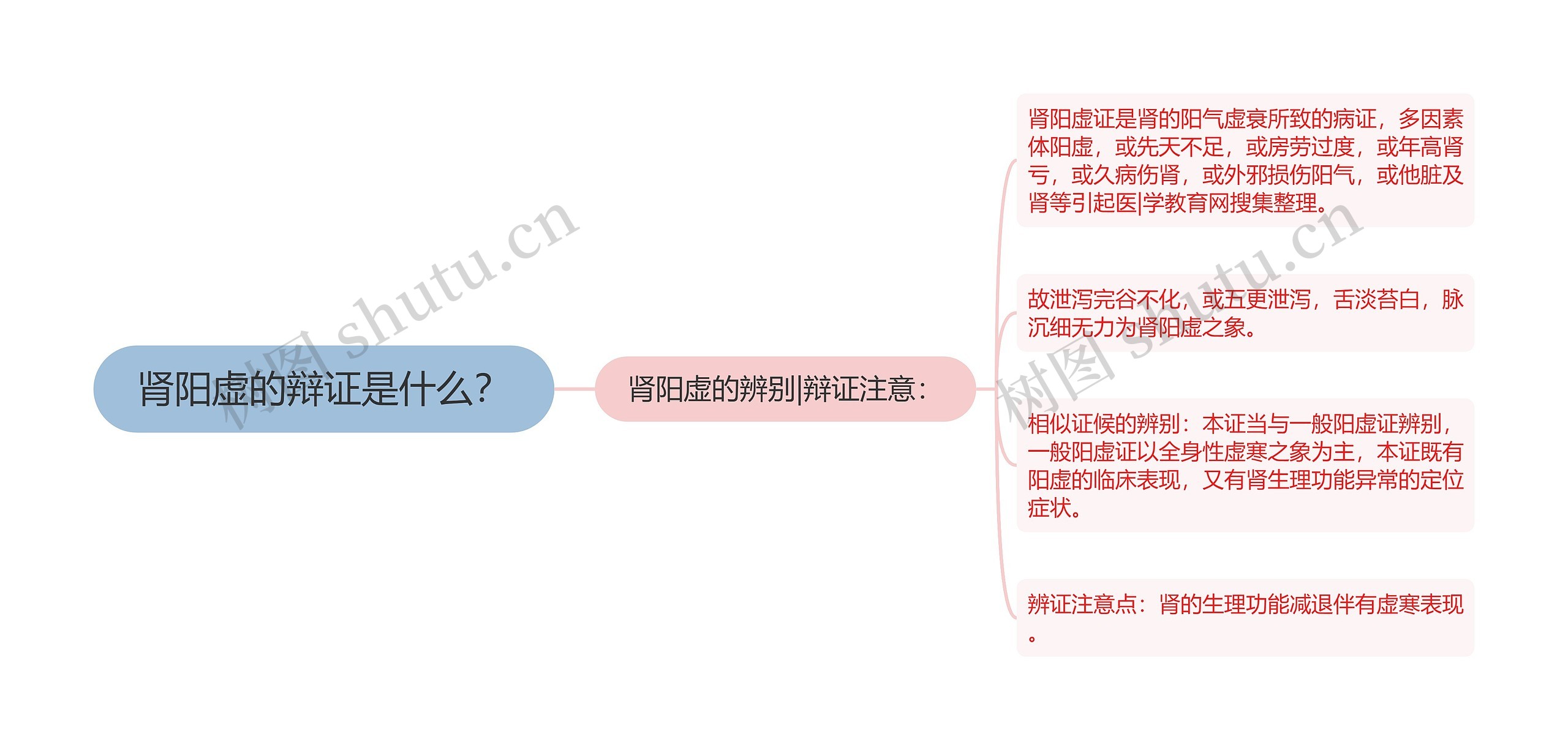 肾阳虚的辩证是什么？思维导图