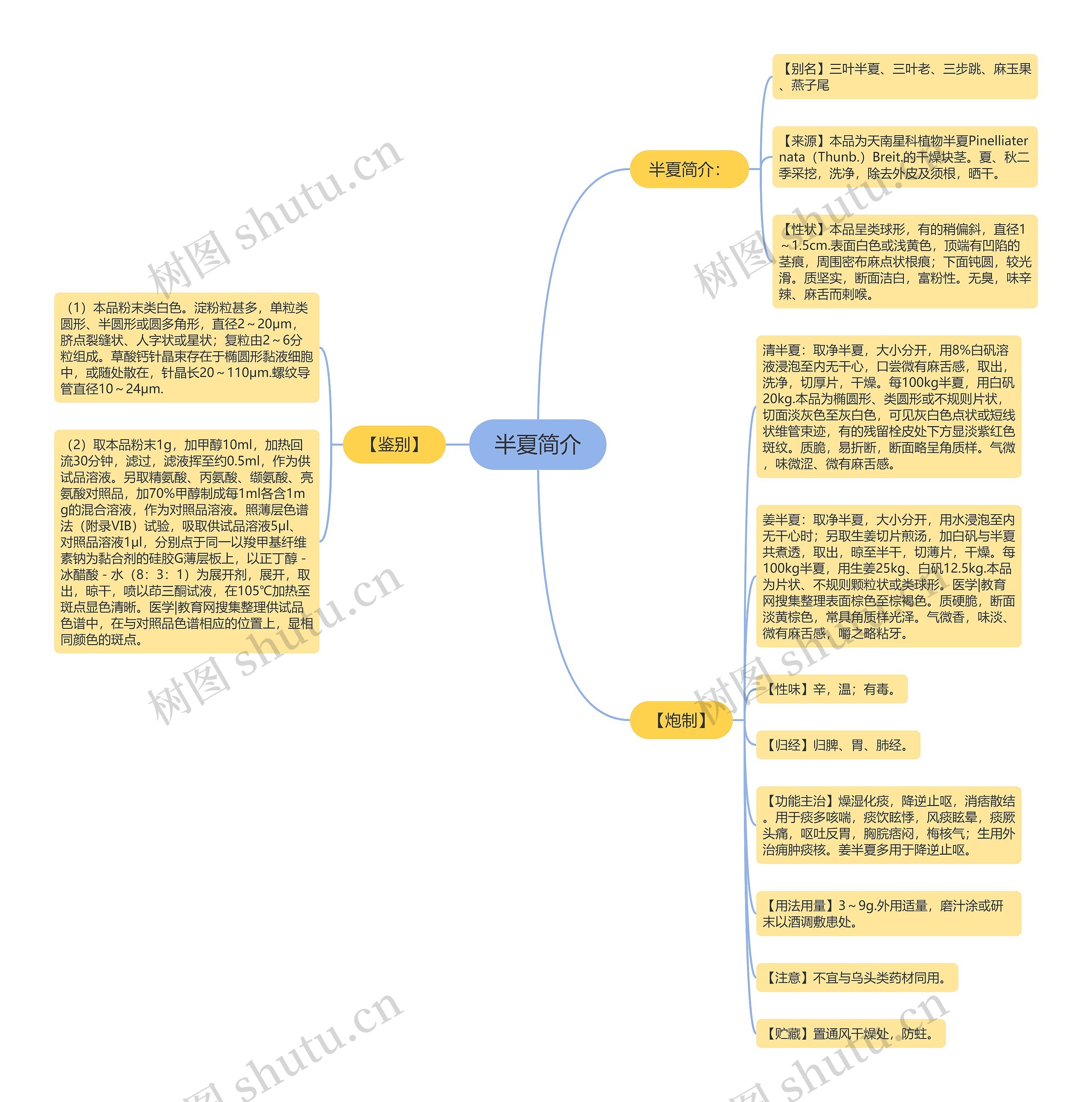 半夏简介思维导图
