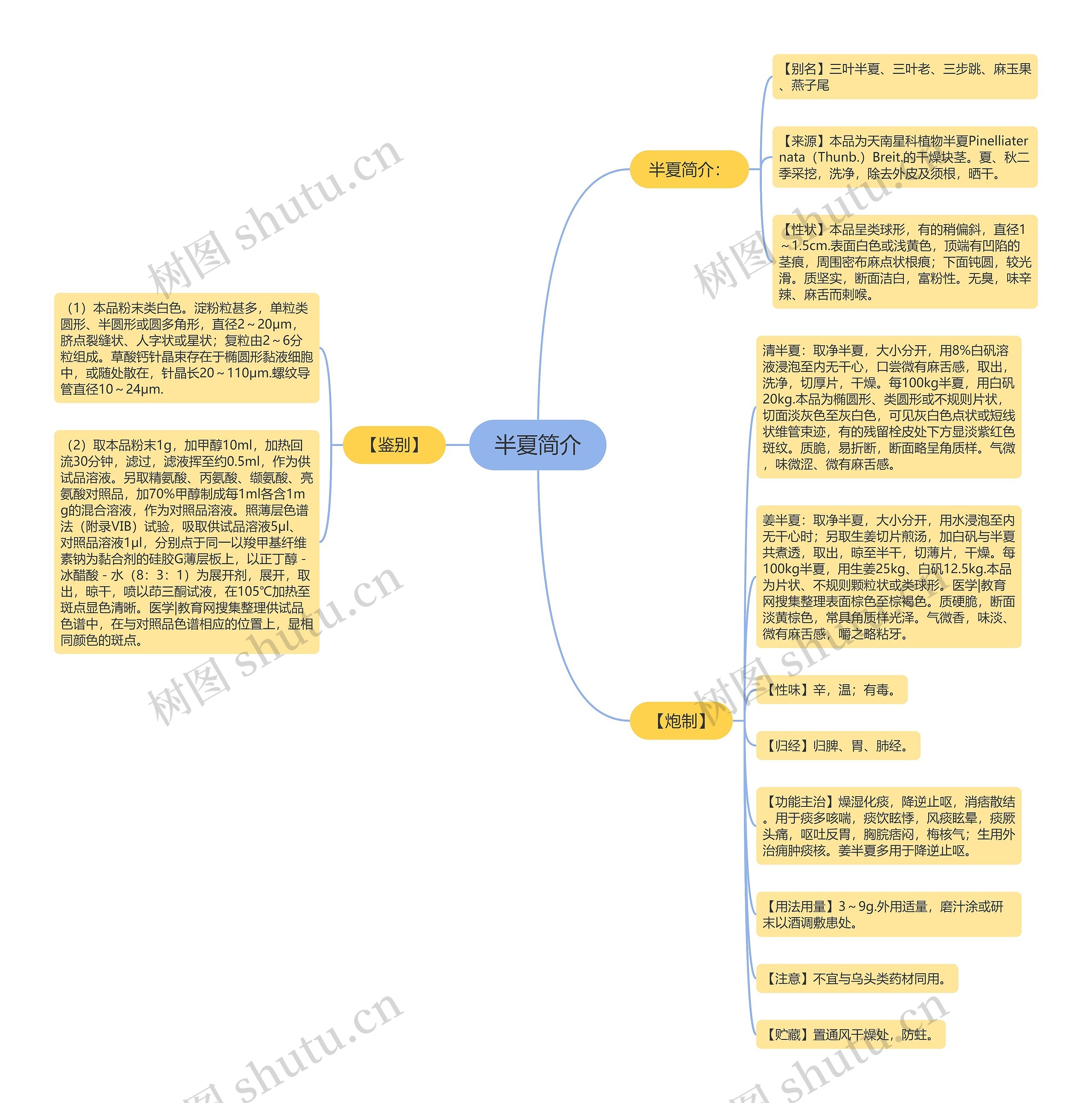 半夏简介 半夏简介
