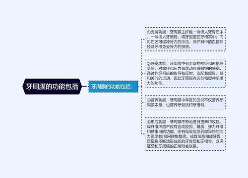 牙周膜的功能包括