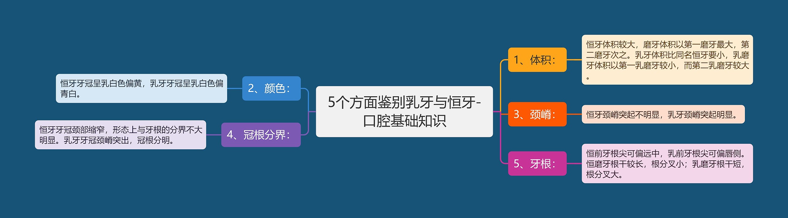 5个方面鉴别乳牙与恒牙-口腔基础知识