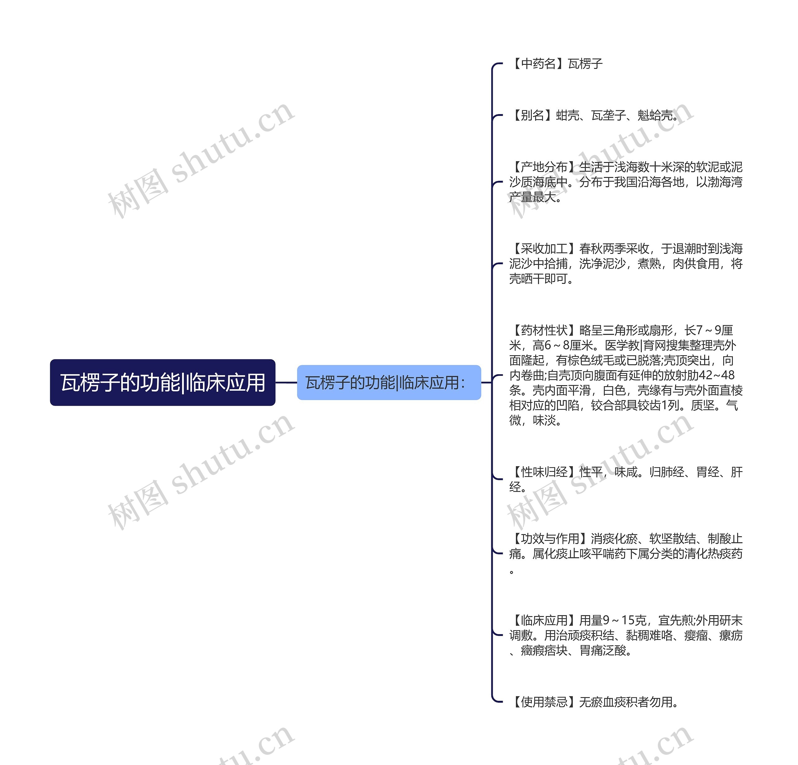 瓦楞子的功能|临床应用思维导图