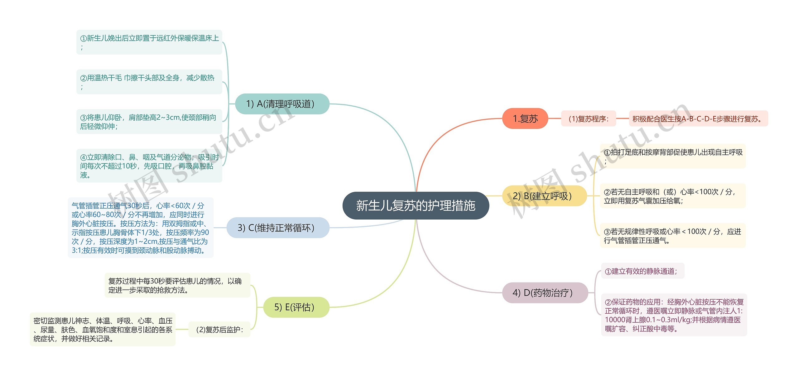 新生儿复苏的护理措施思维导图