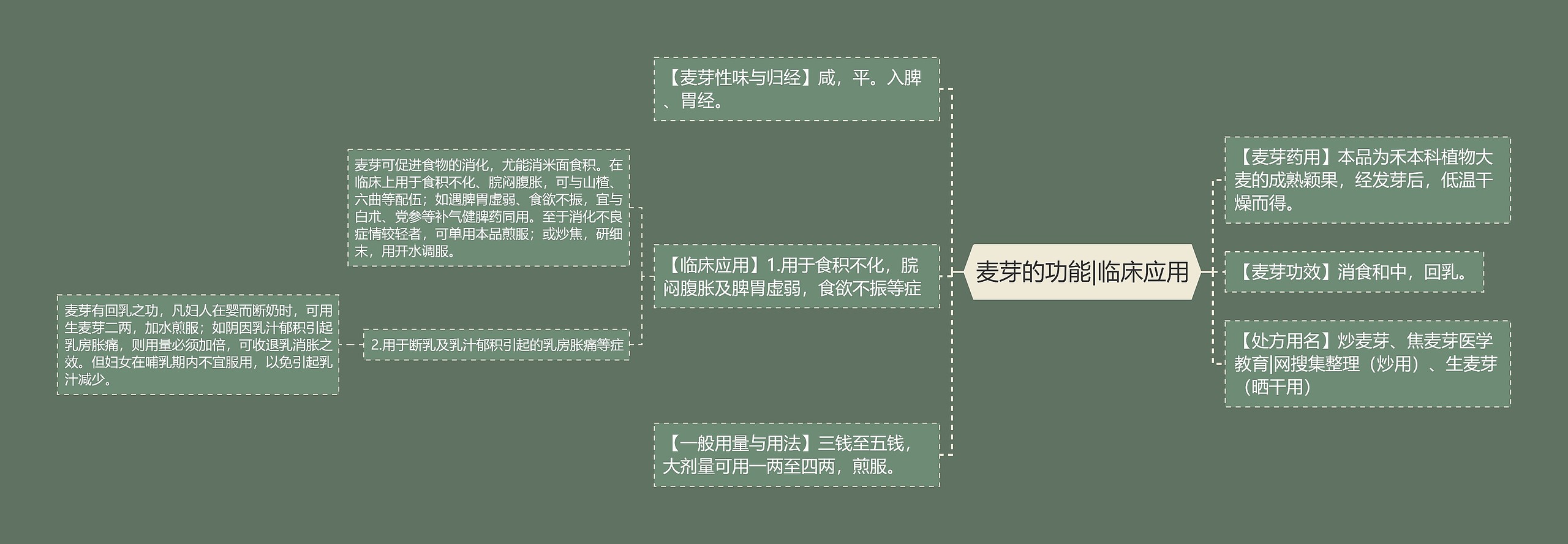 麦芽的功能|临床应用思维导图