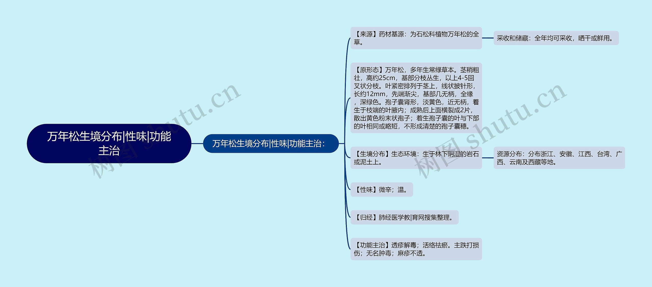 万年松生境分布|性味|功能主治思维导图