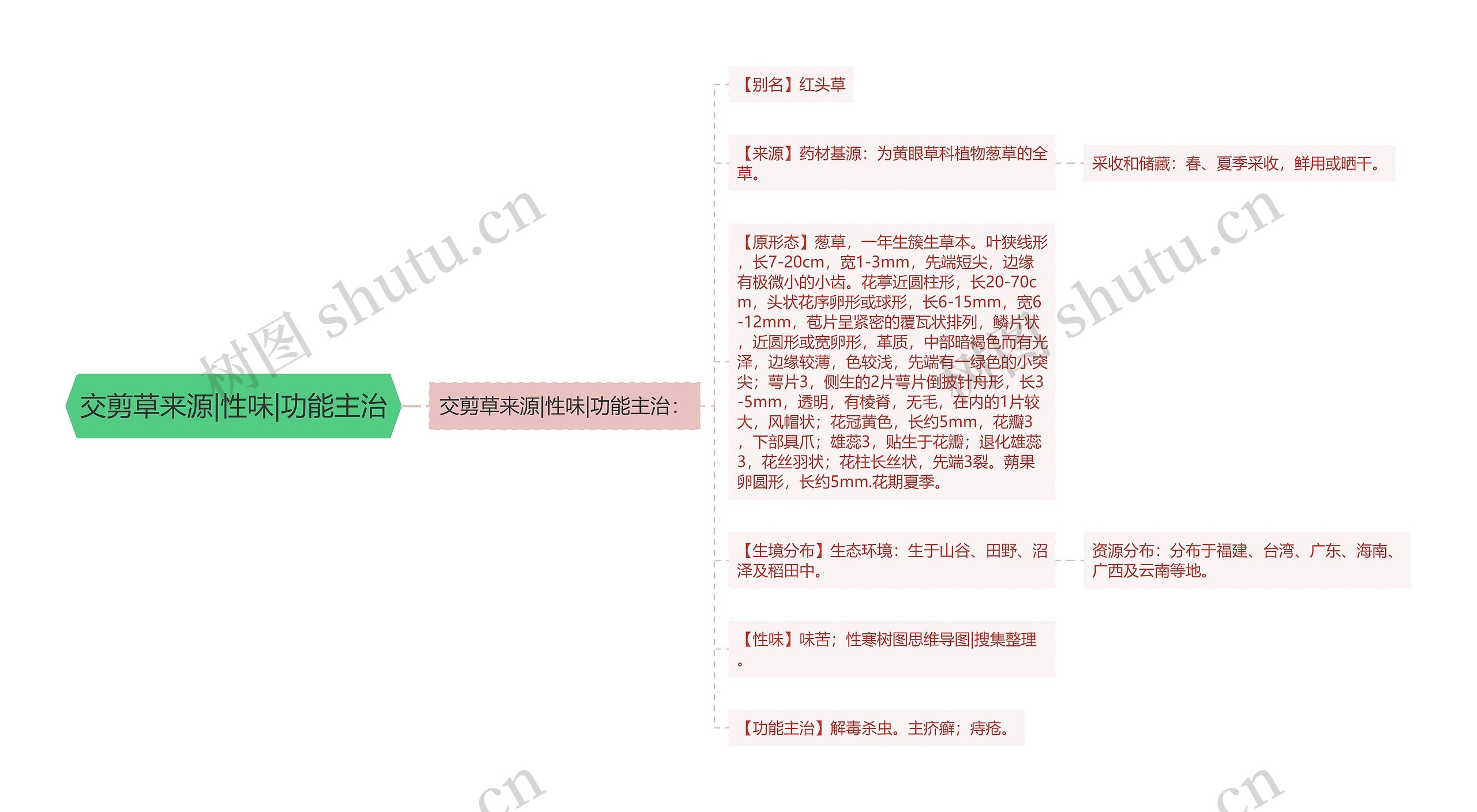 交剪草来源|性味|功能主治思维导图