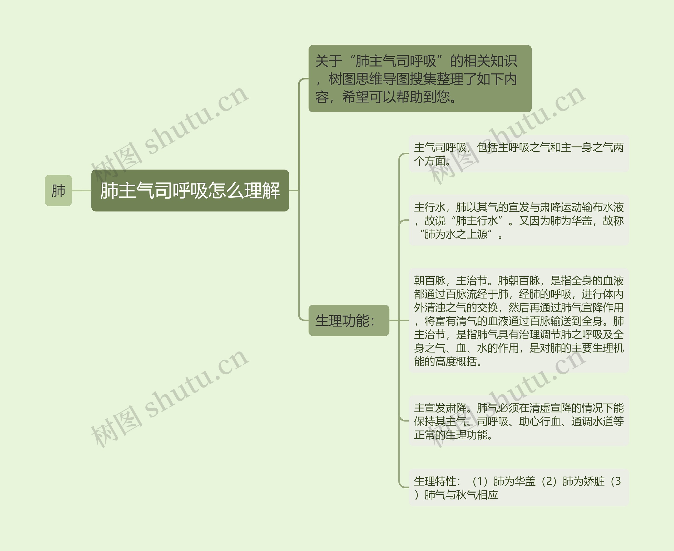 肺主气司呼吸怎么理解