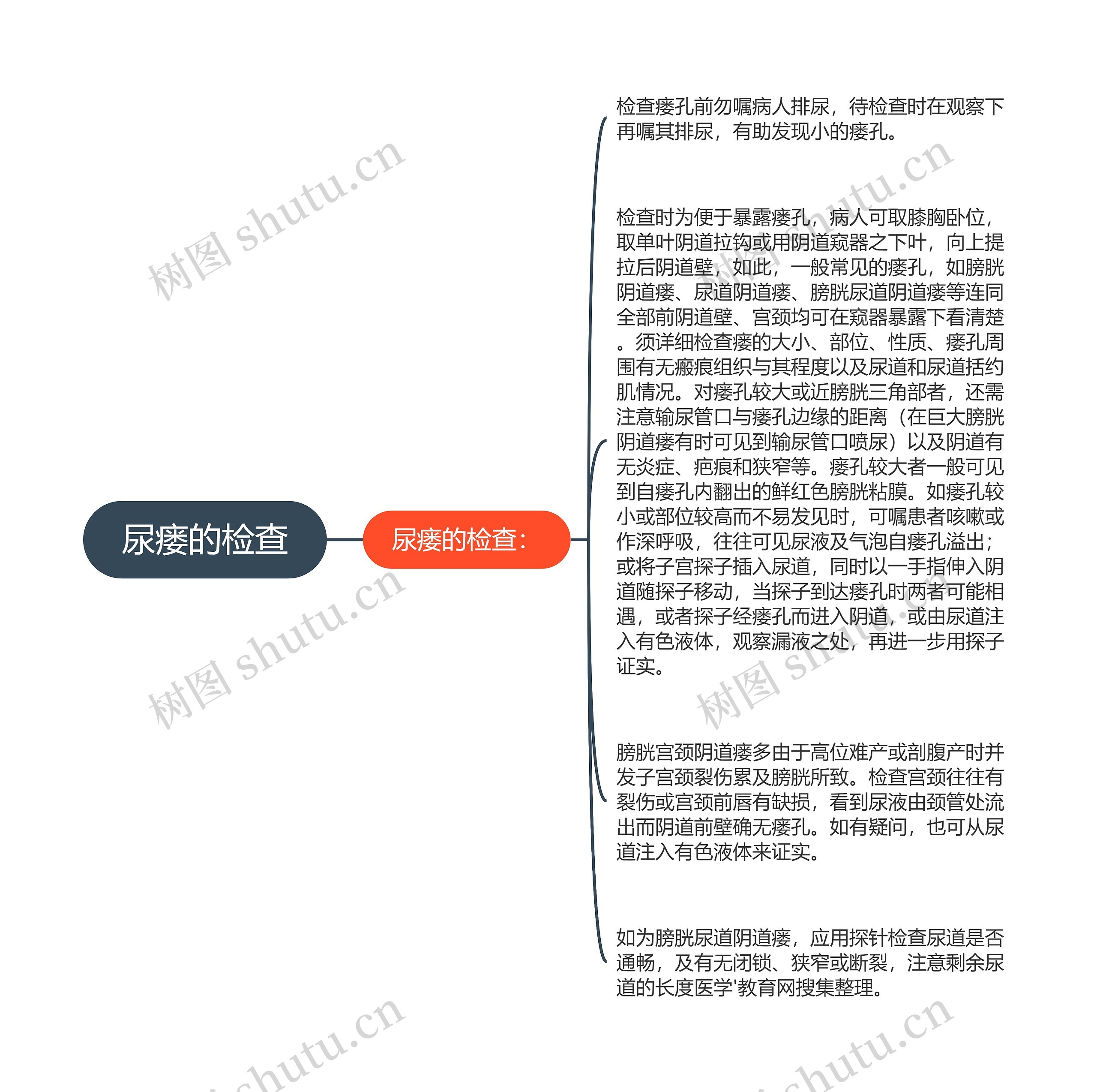 尿瘘的检查 尿瘘的检查
