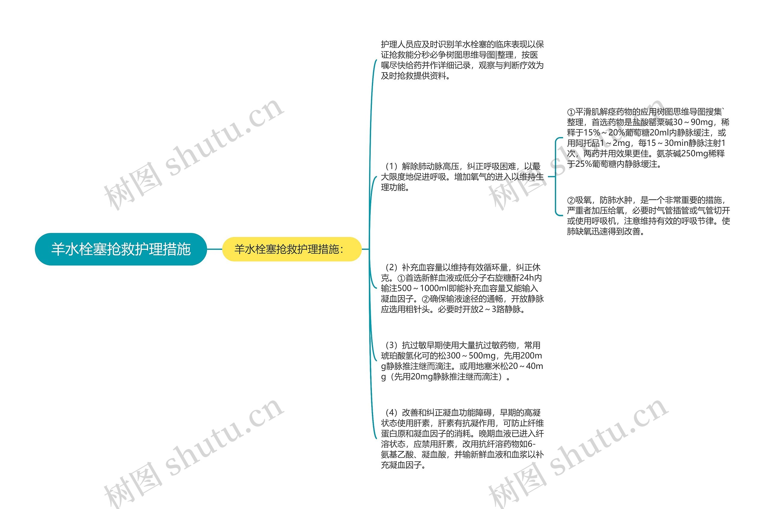 羊水栓塞抢救护理措施