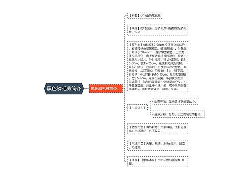 黑色鳞毛蕨简介