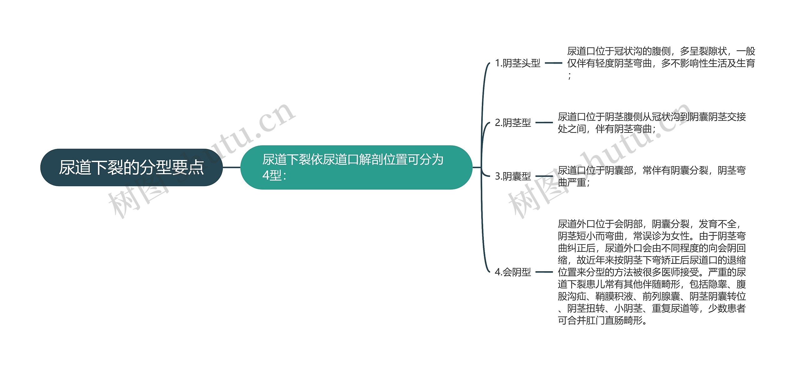 尿道下裂的分型要点思维导图