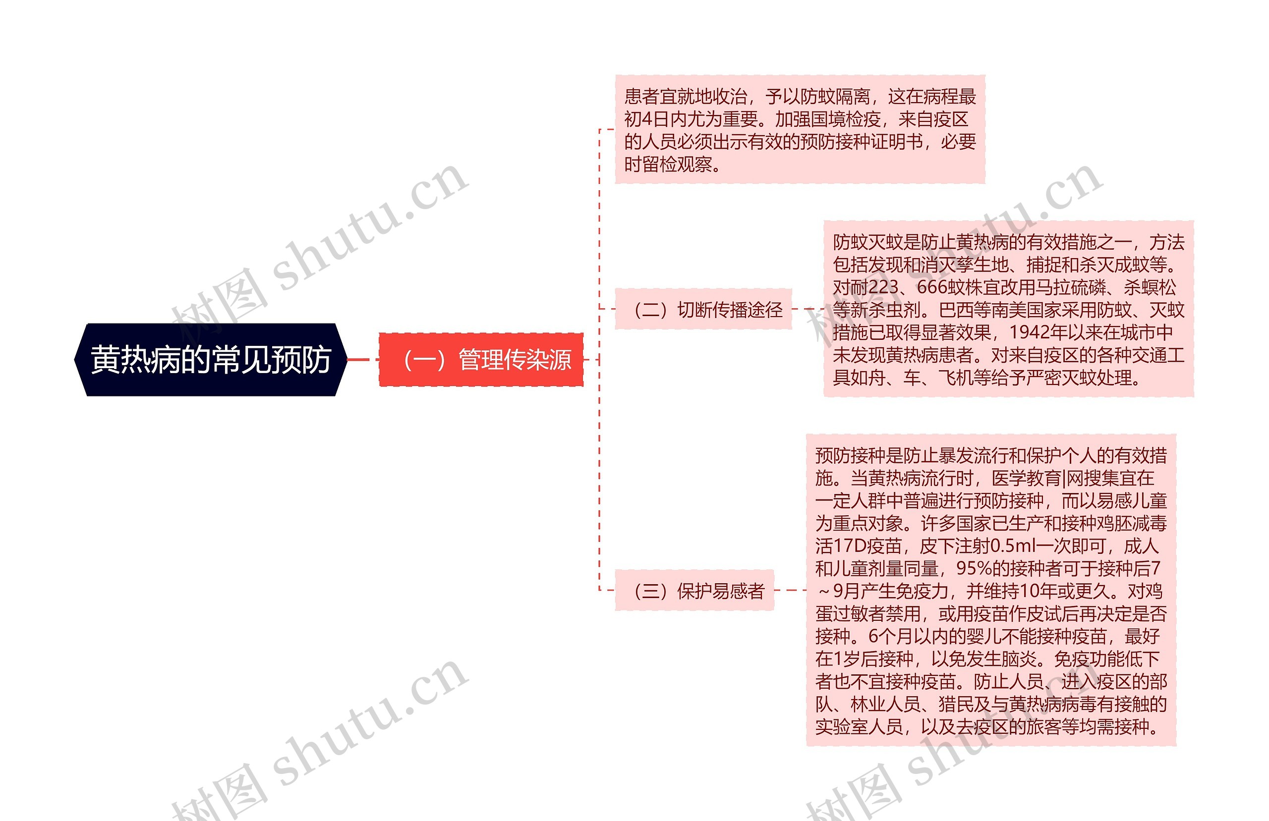 黄热病的常见预防思维导图