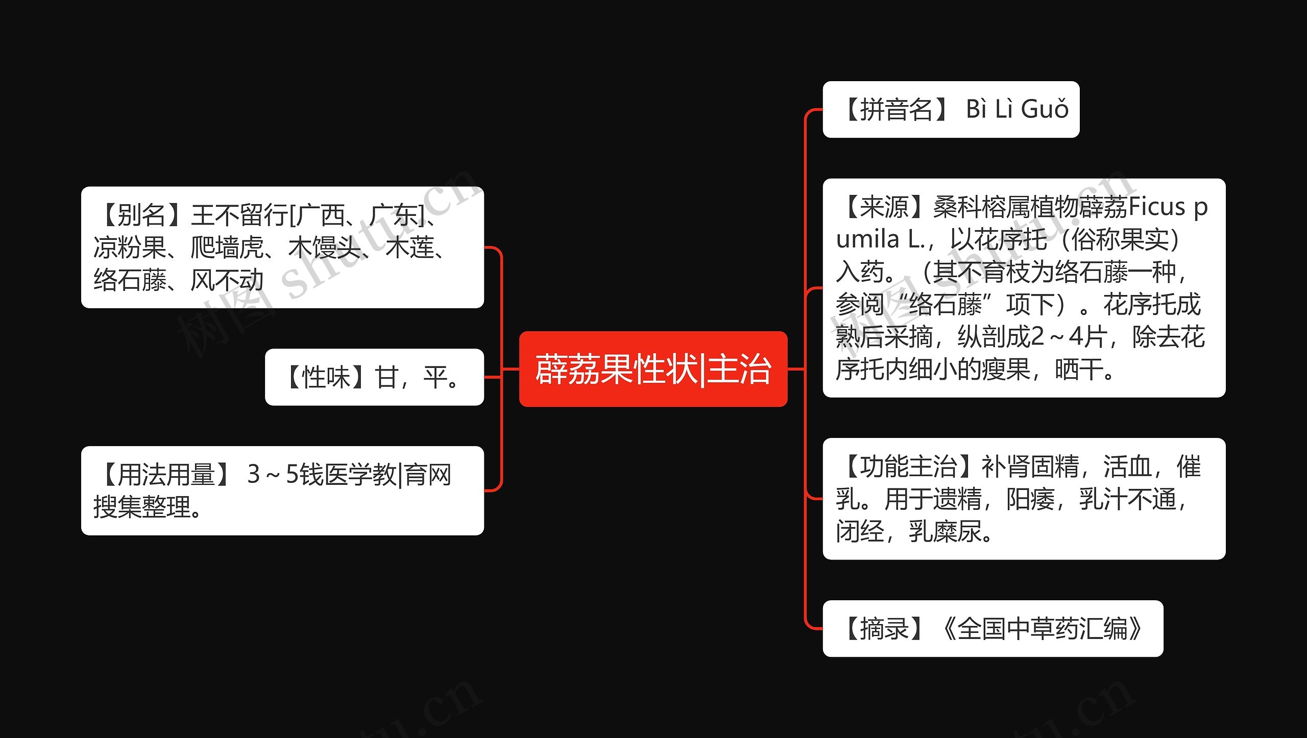 薜荔果性状|主治思维导图