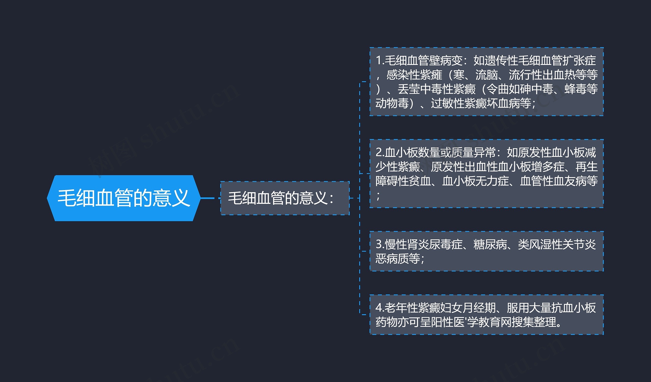 毛细血管的意义思维导图