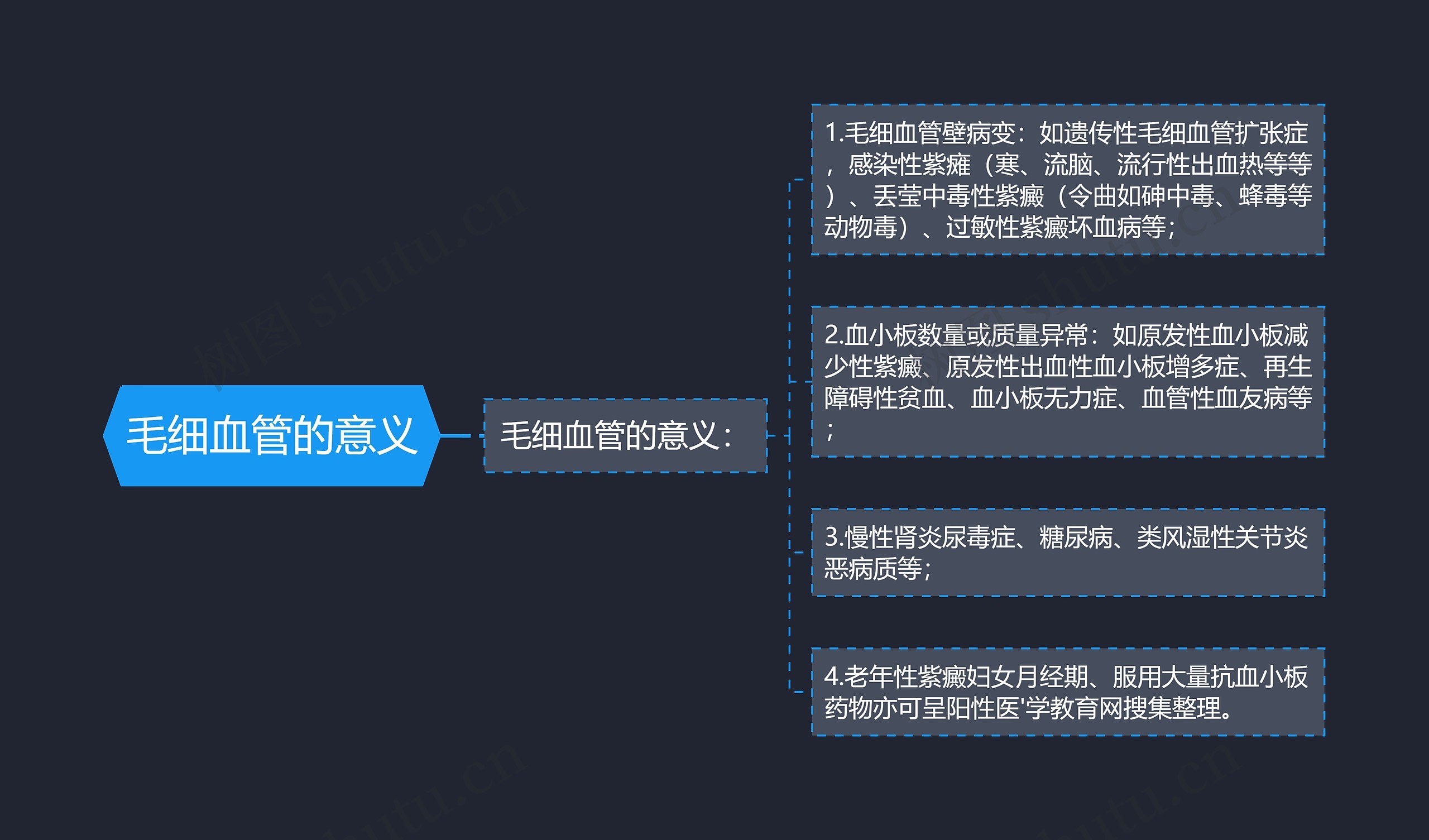 毛细血管的意义 毛细血管的意义