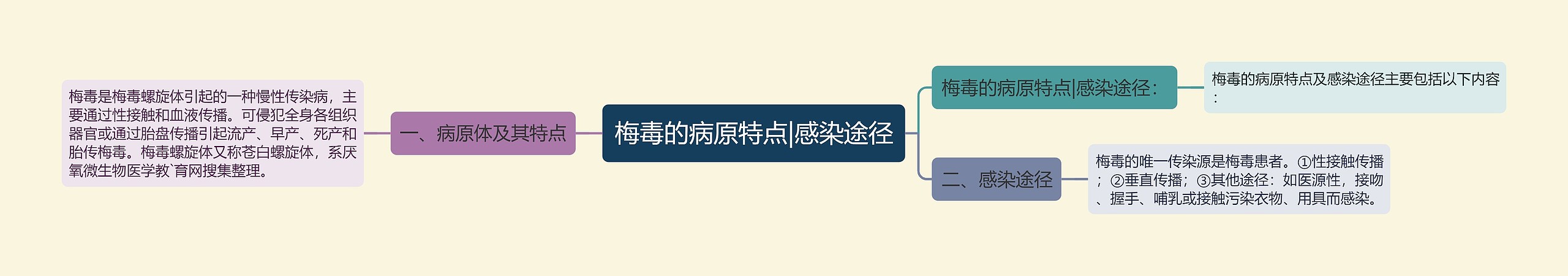 梅毒的病原特点|感染途径 梅毒的病原特点|感染途径