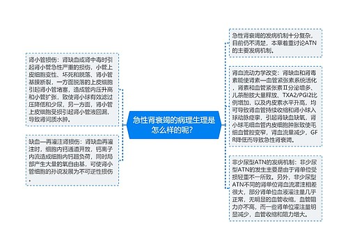 急性肾衰竭的病理生理是怎么样的呢？