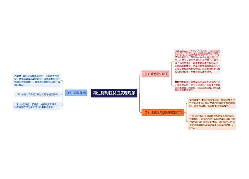 再生障碍性贫血病理现象