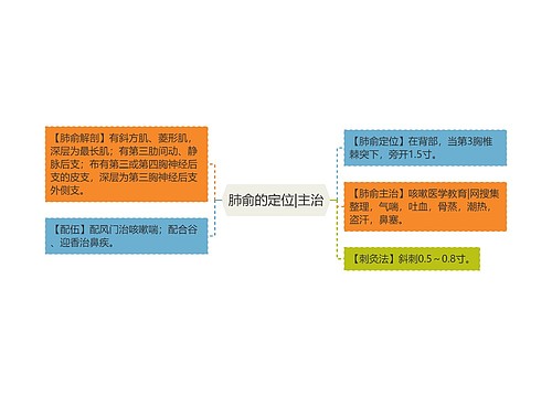 肺俞的定位|主治