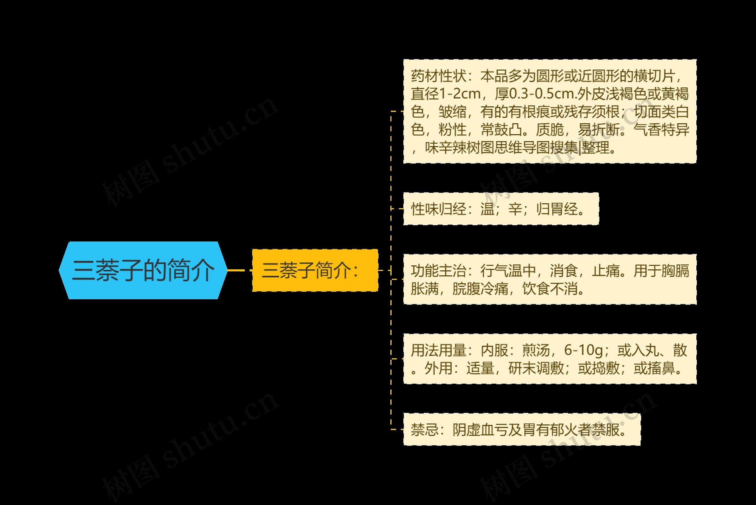 三萘子的简介思维导图