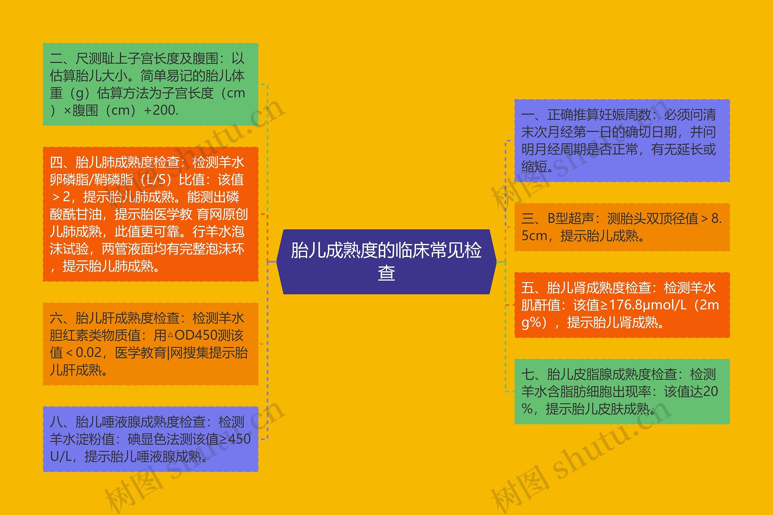 胎儿成熟度的临床常见检查 胎儿成熟度的临床常见检查
