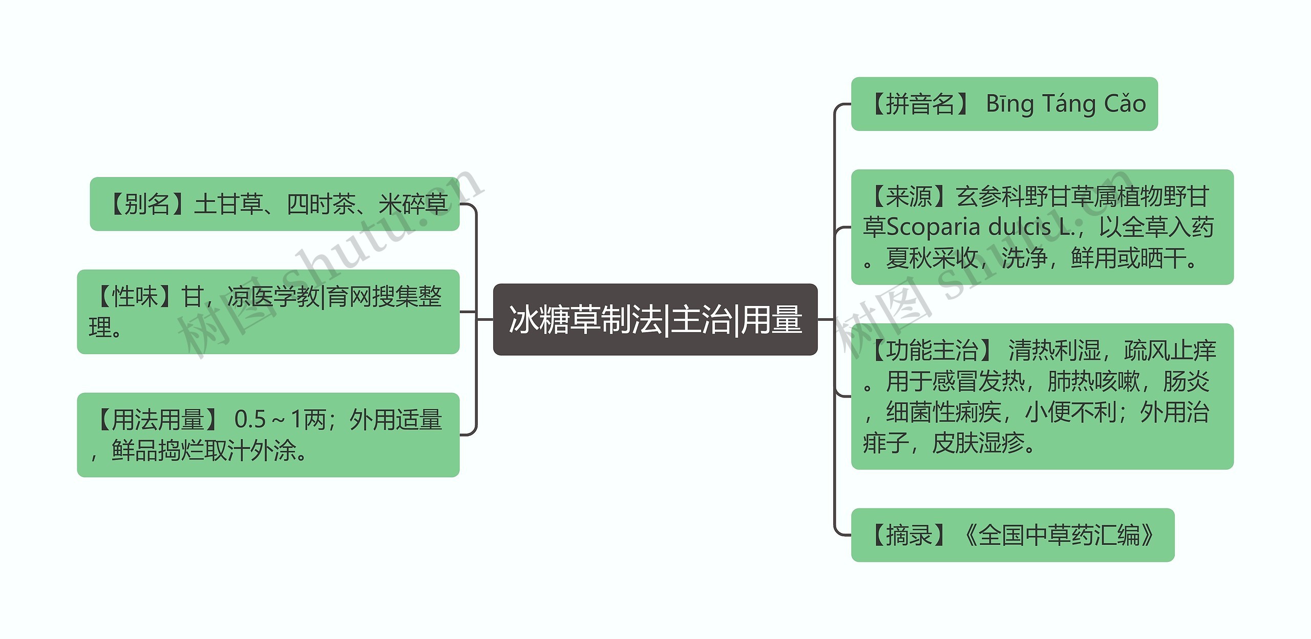 冰糖草制法|主治|用量思维导图