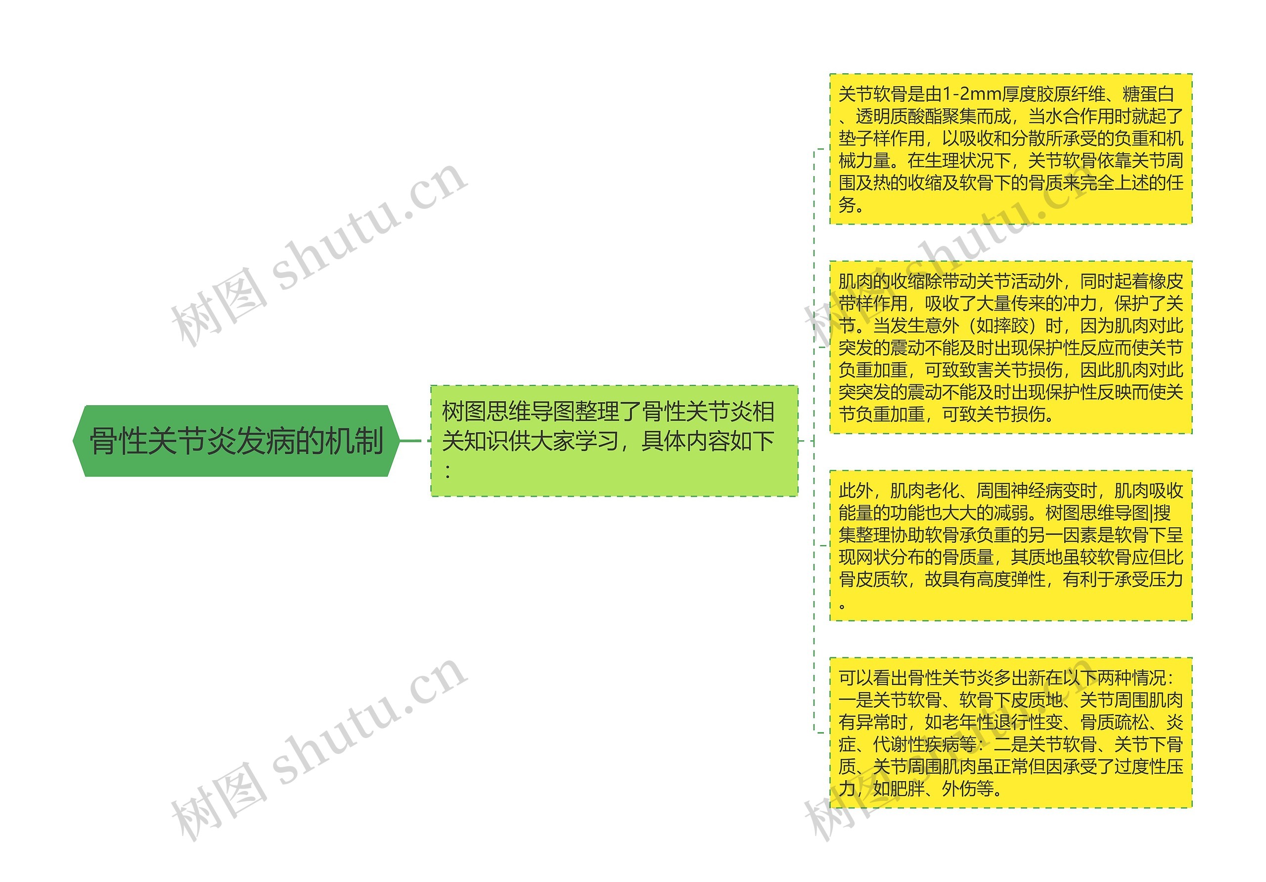 骨性关节炎发病的机制