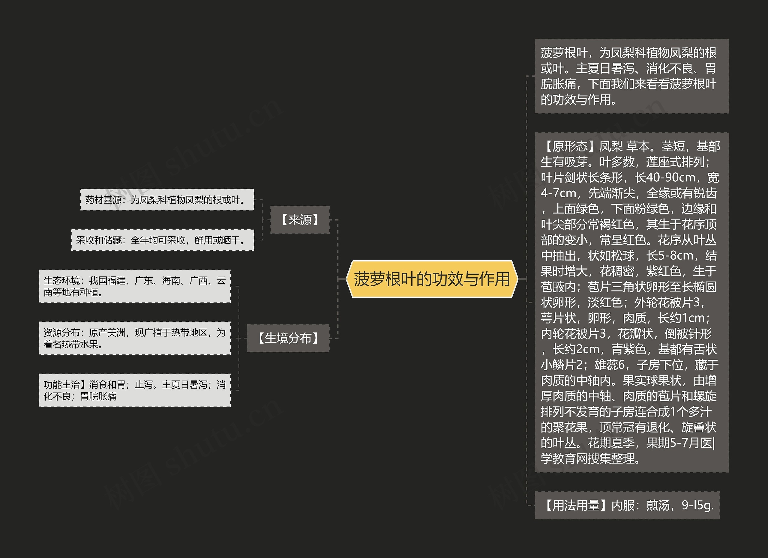 菠萝根叶的功效与作用 菠萝根叶的功效与作用