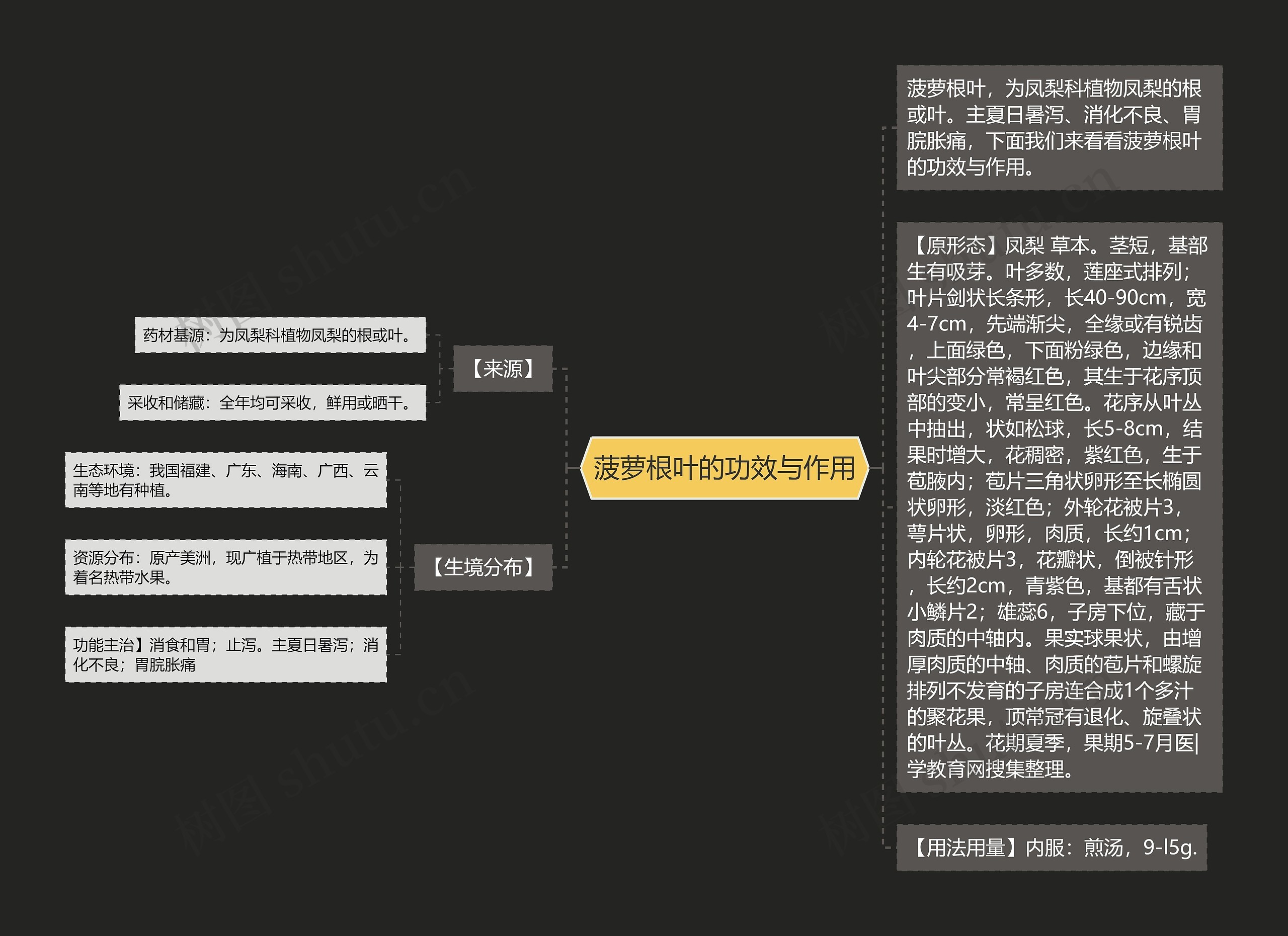 菠萝根叶的功效与作用思维导图