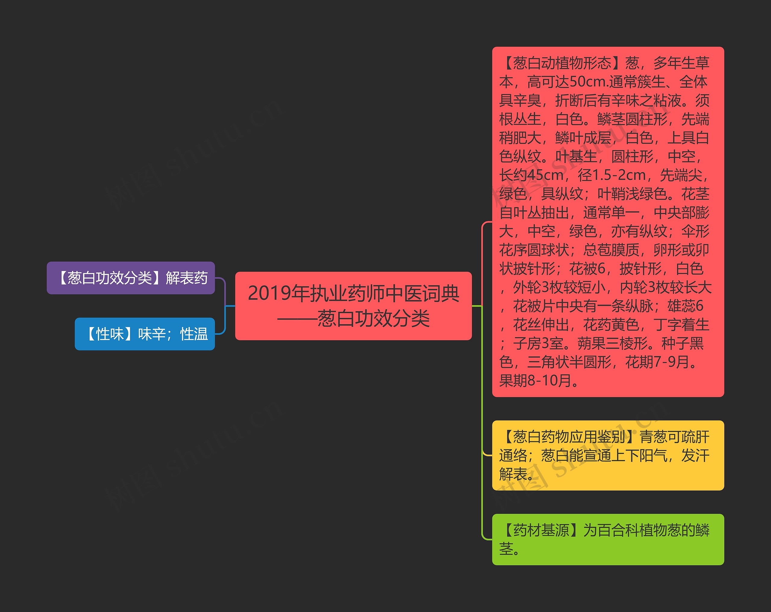2019年执业药师中医词典——葱白功效分类思维导图