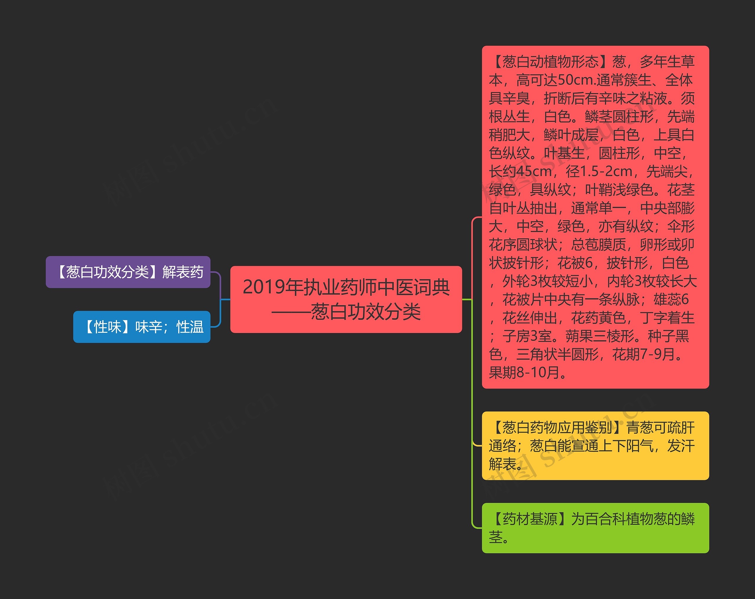 2019年执业药师中医词典——葱白功效分类 2019年执业药师中医词典——葱白功效分类