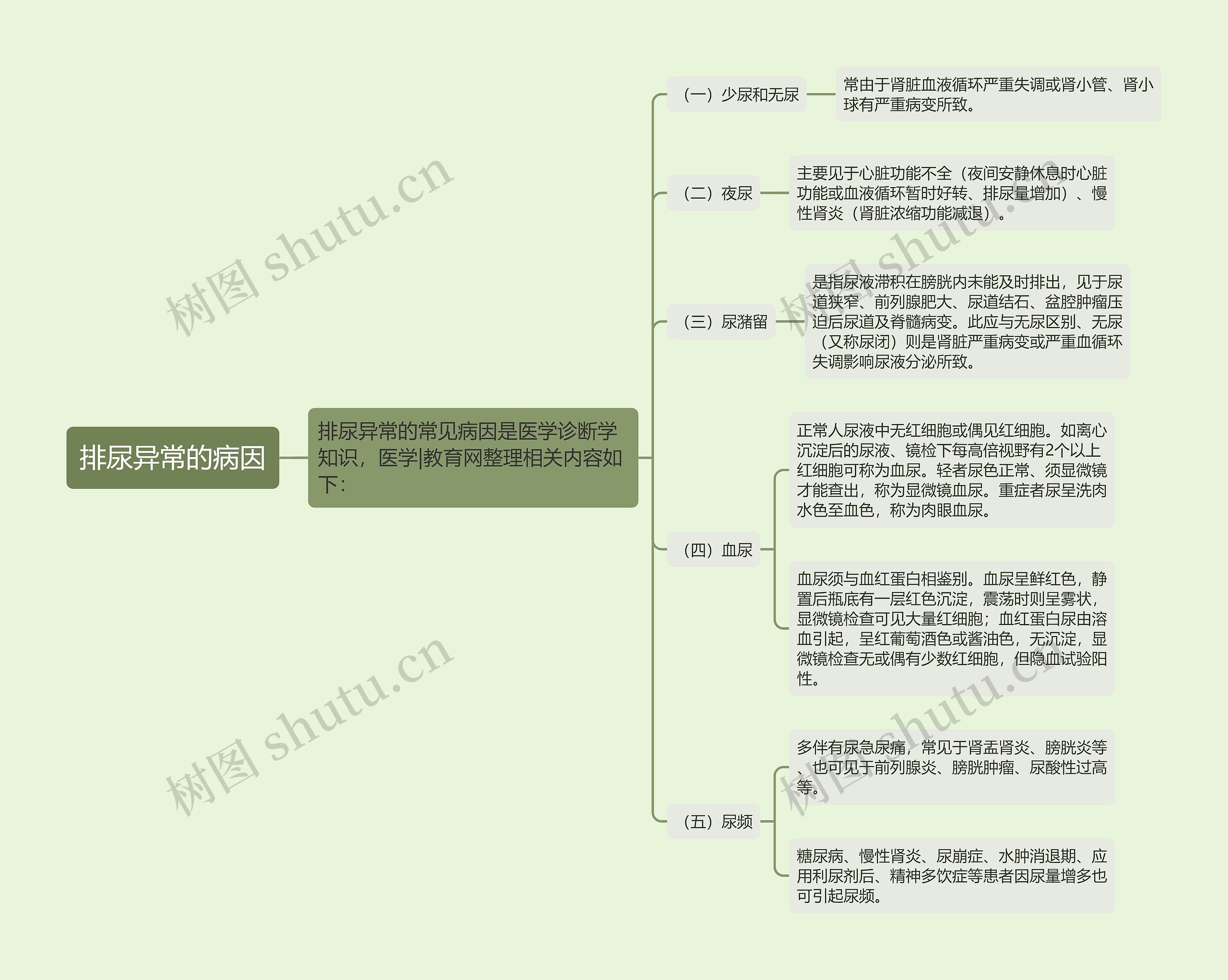 排尿异常的病因思维导图