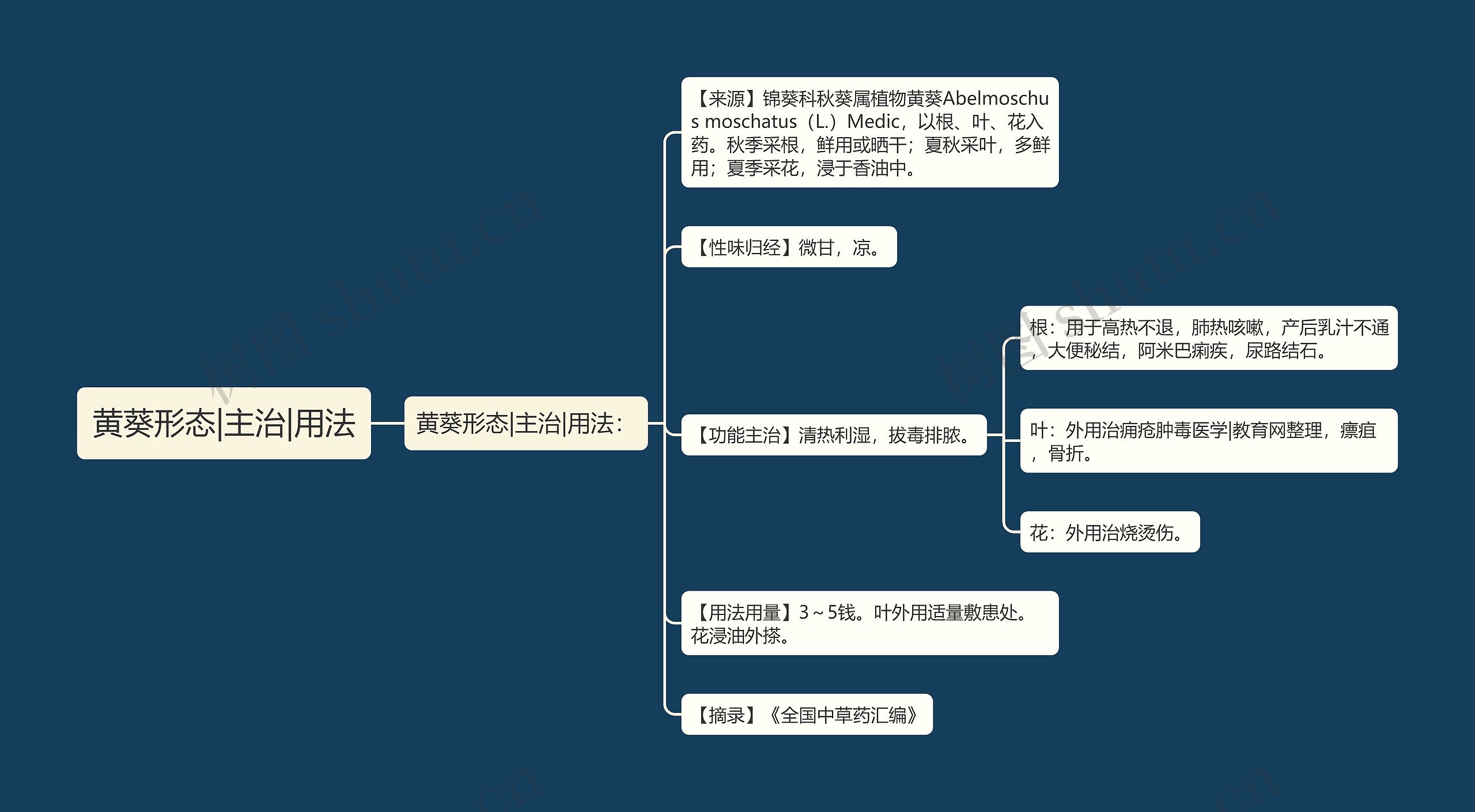 黄葵形态|主治|用法思维导图