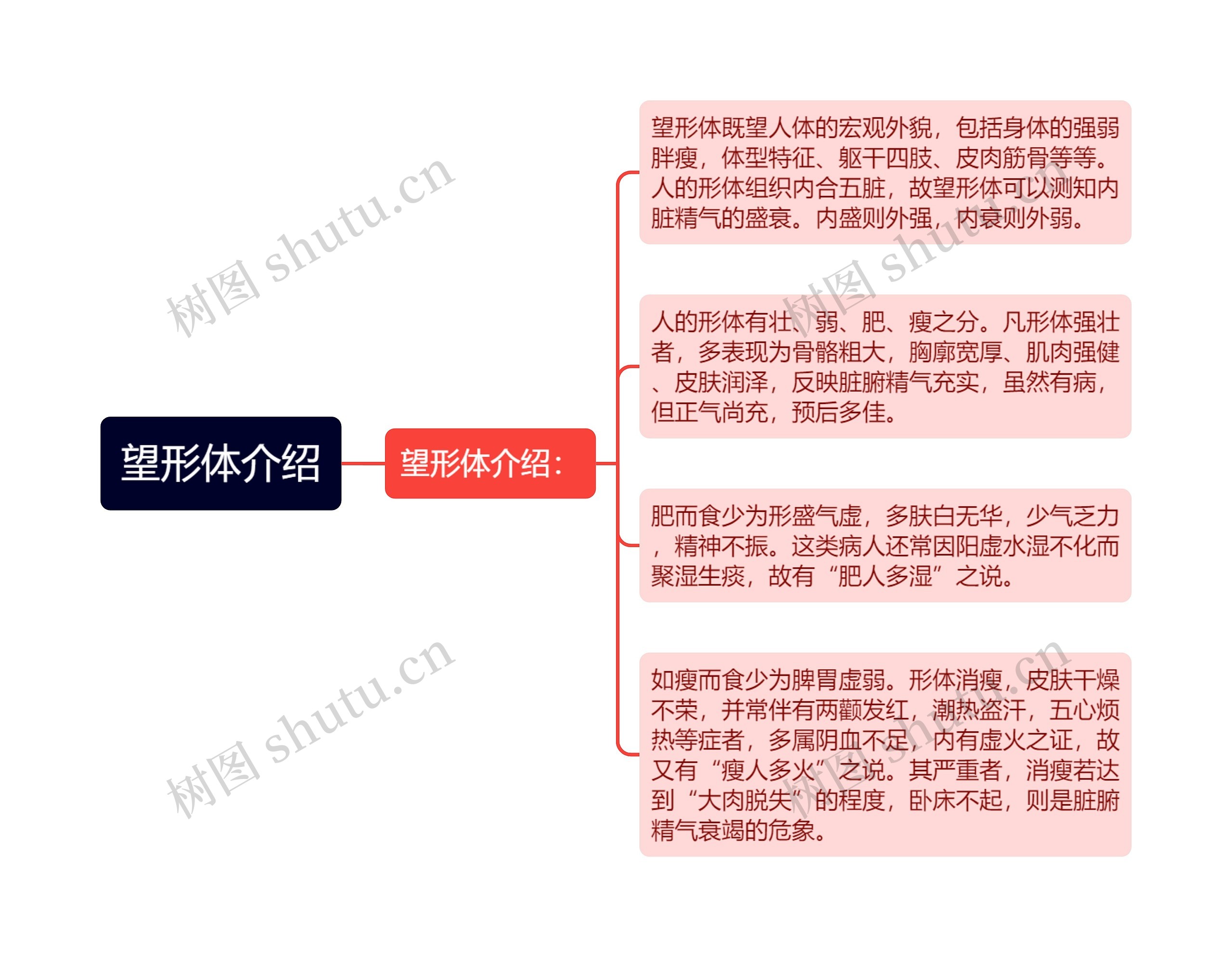 望形体介绍思维导图