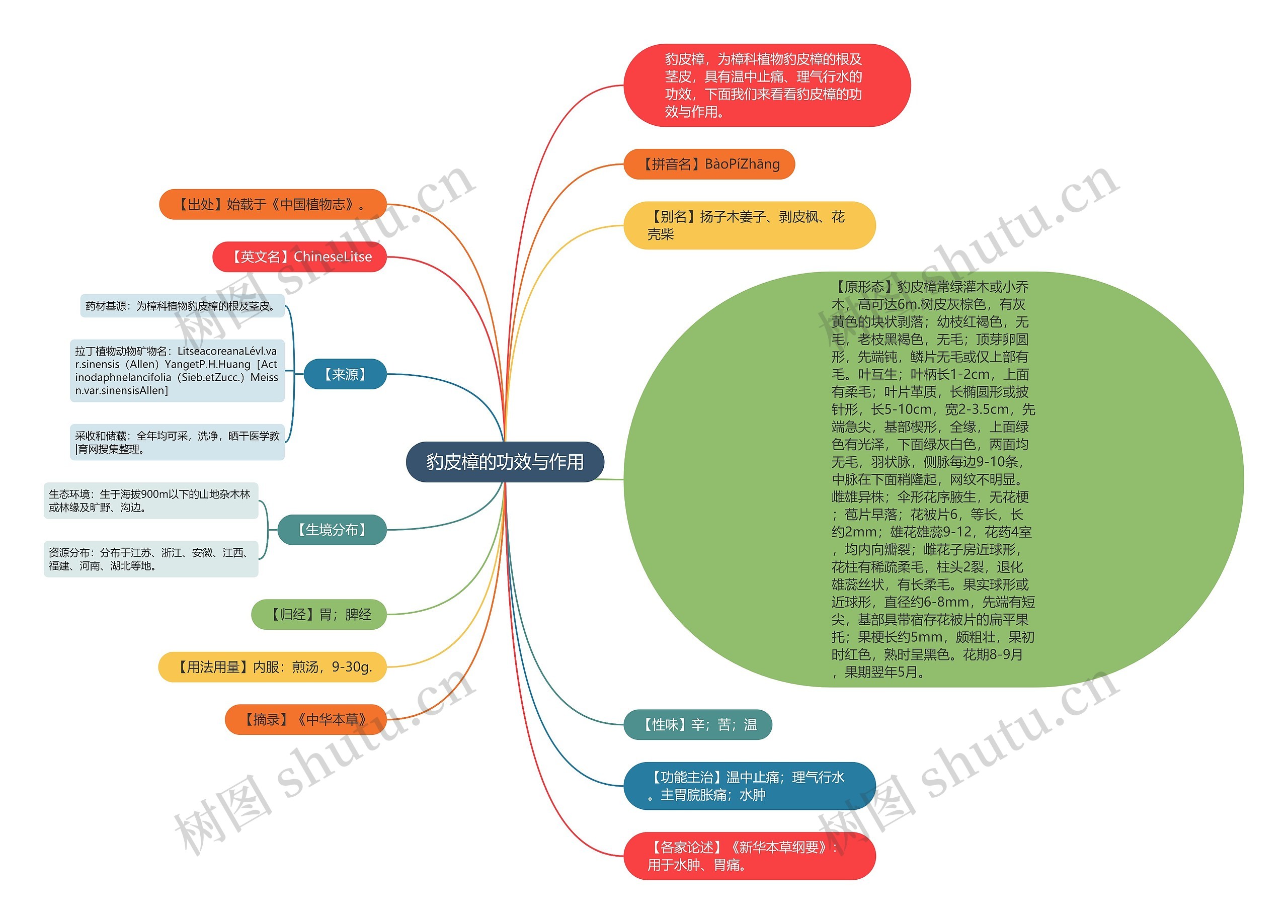 豹皮樟的功效与作用思维导图