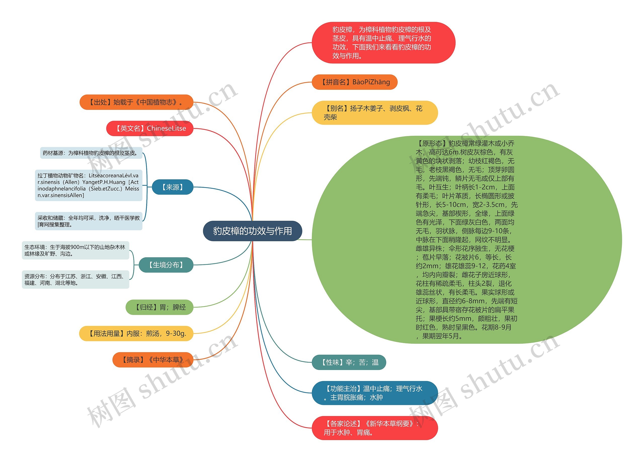 豹皮樟的功效与作用 豹皮樟的功效与作用