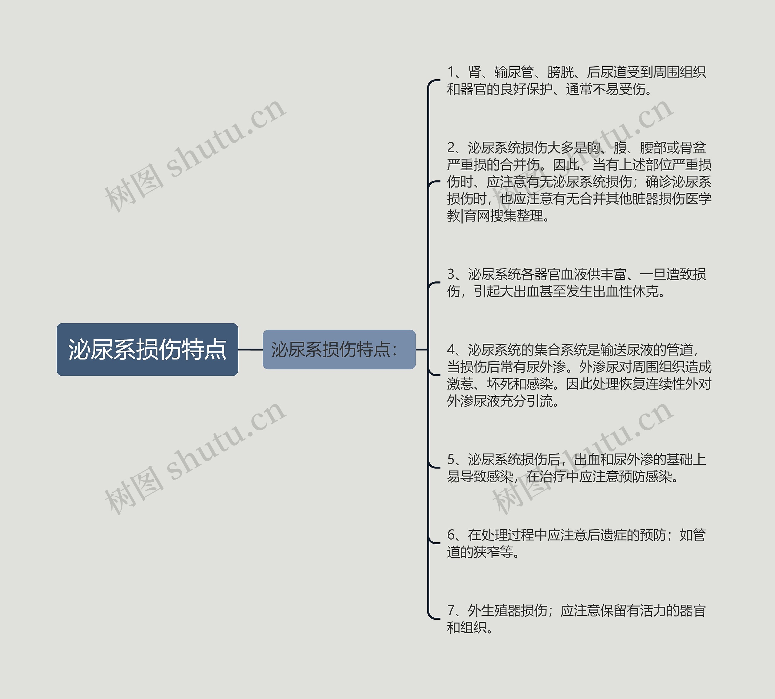 泌尿系损伤特点思维导图