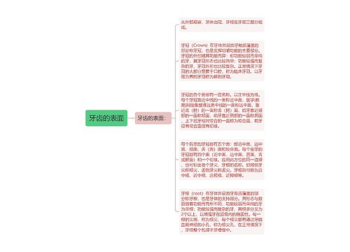 牙齿的表面