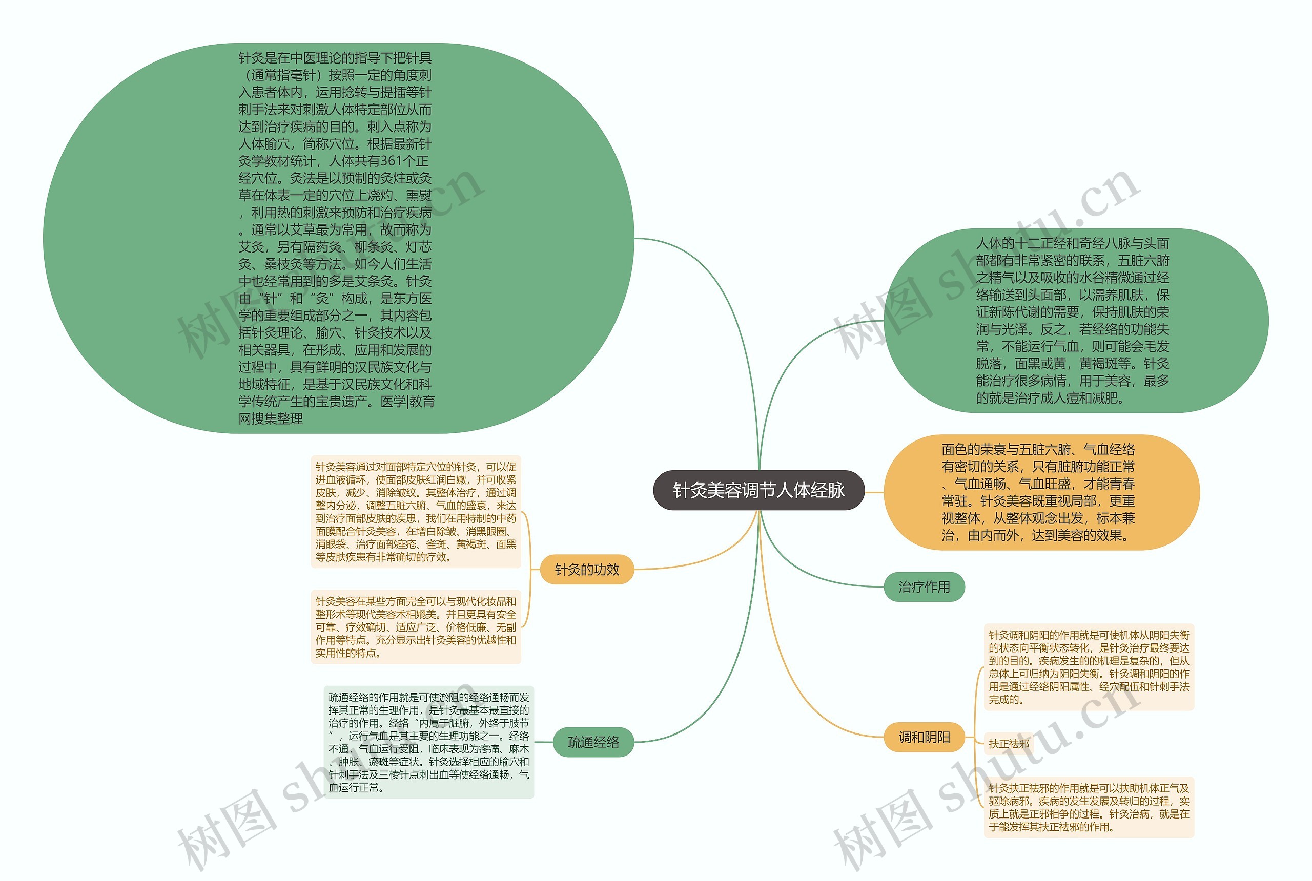 针灸美容调节人体经脉 针灸美容调节人体经脉