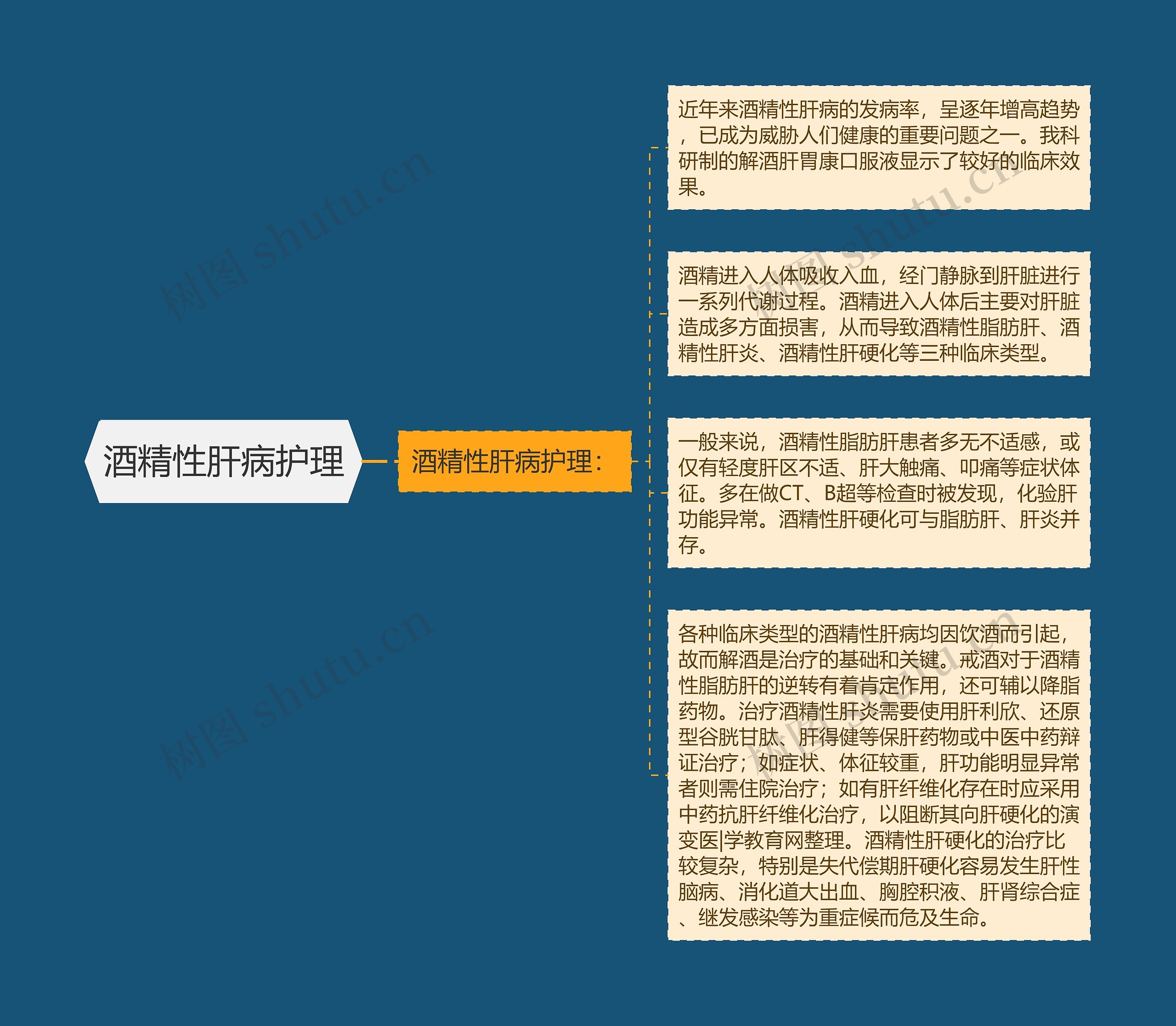 酒精性肝病护理思维导图