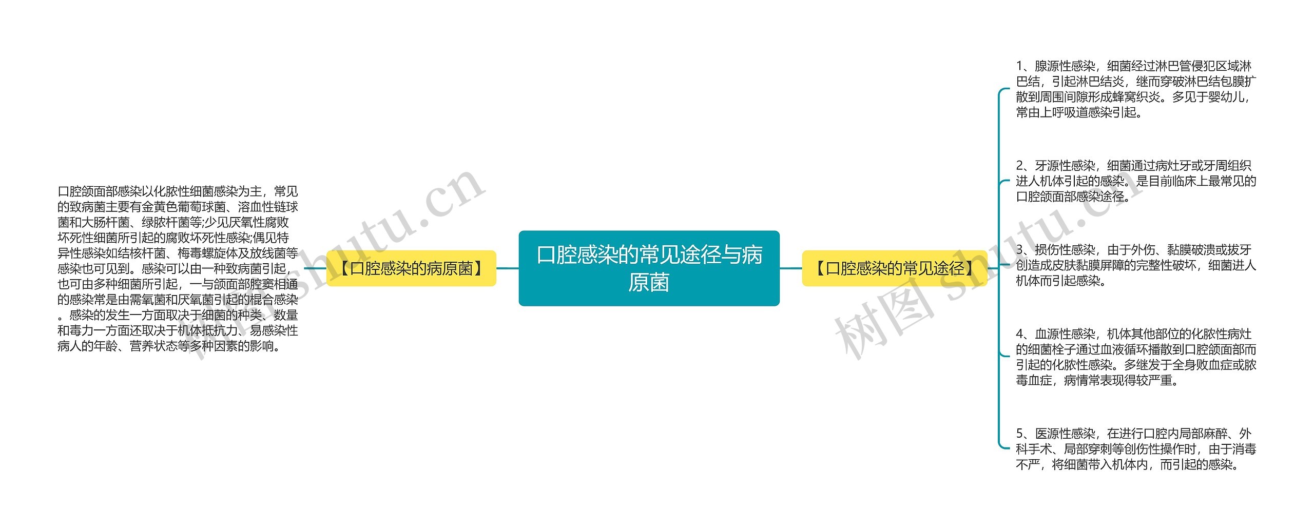 口腔感染的常见途径与病原菌思维导图