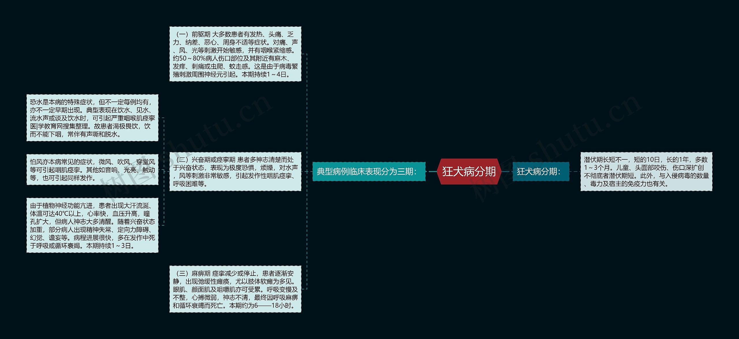 狂犬病分期思维导图