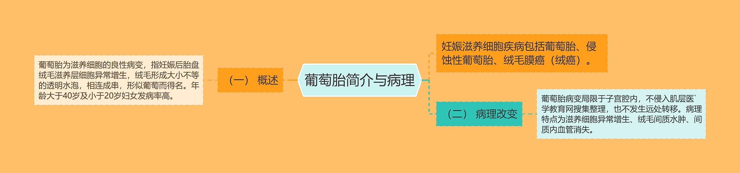 葡萄胎简介与病理 葡萄胎简介与病理