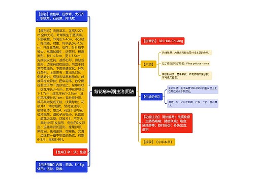 背花疮来源|主治|用法