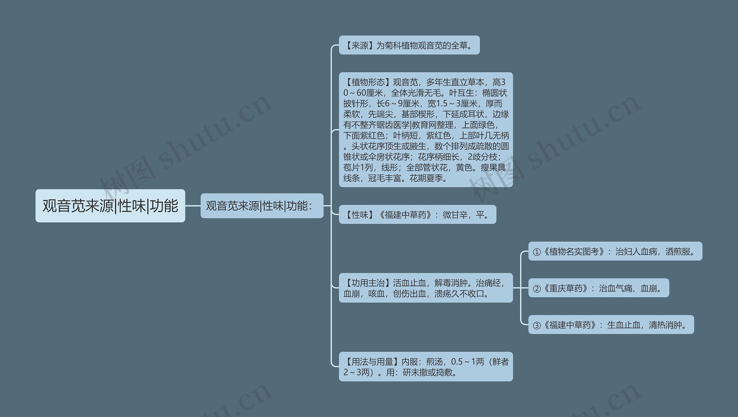 观音苋来源|性味|功能思维导图