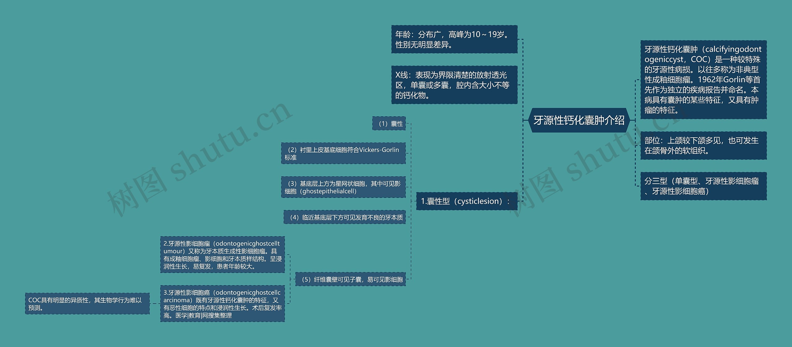 牙源性钙化囊肿介绍