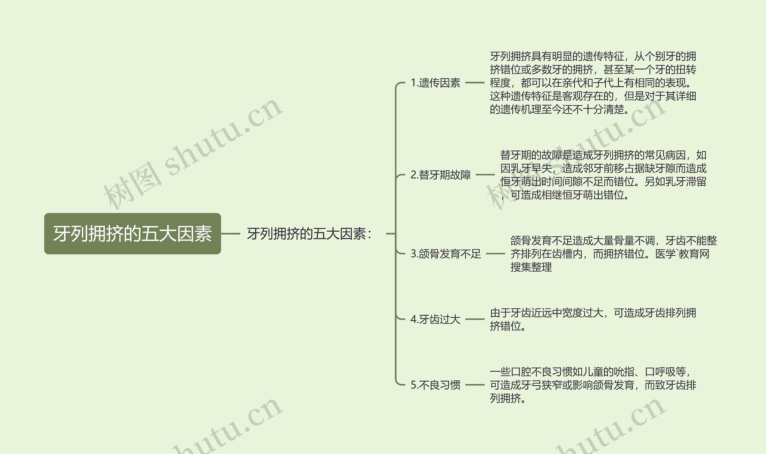 牙列拥挤的五大因素